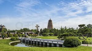 德阳绿化公司袁美华